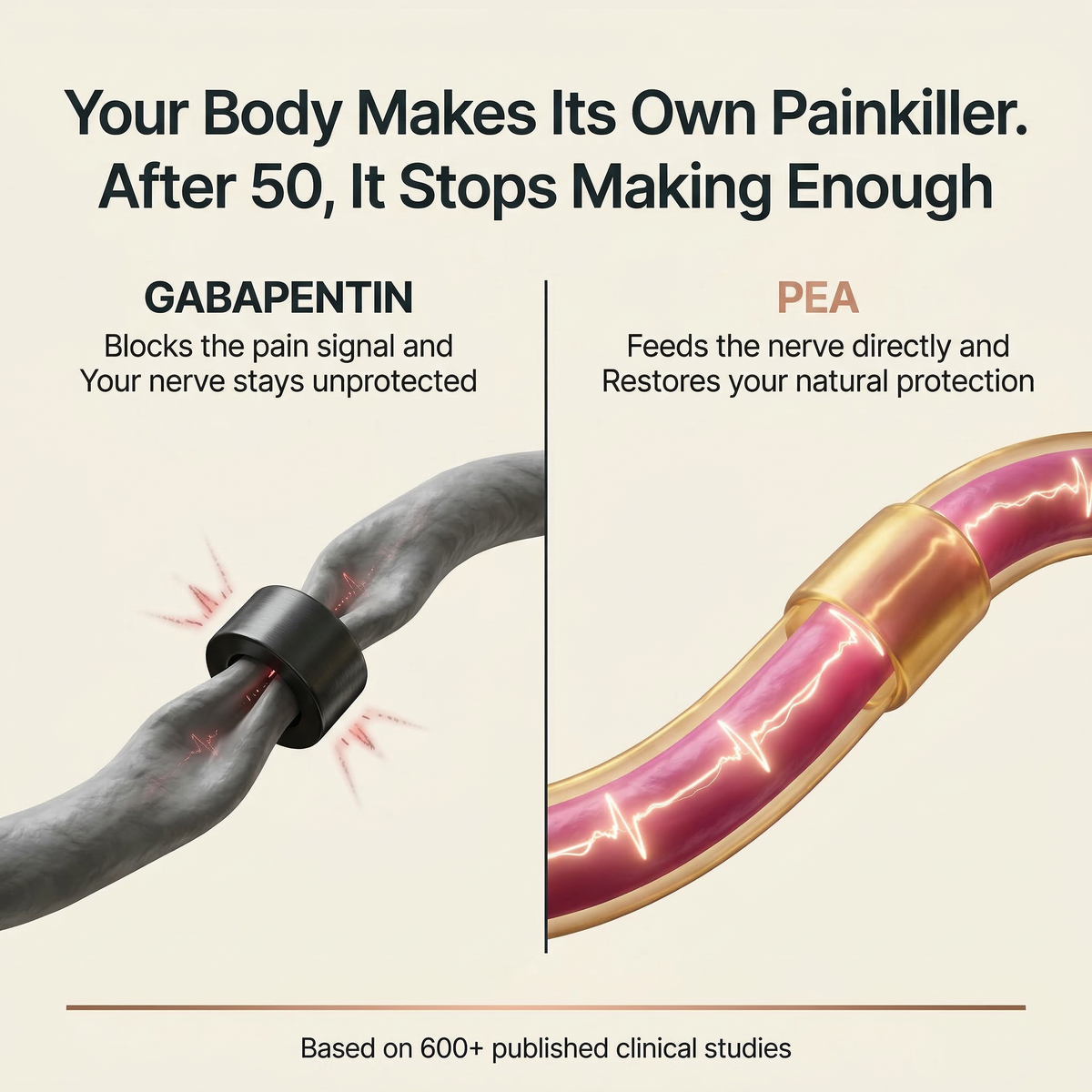 Blissta PainBloc — education graphic