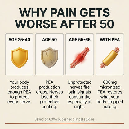 Blissta PainBloc — education graphic